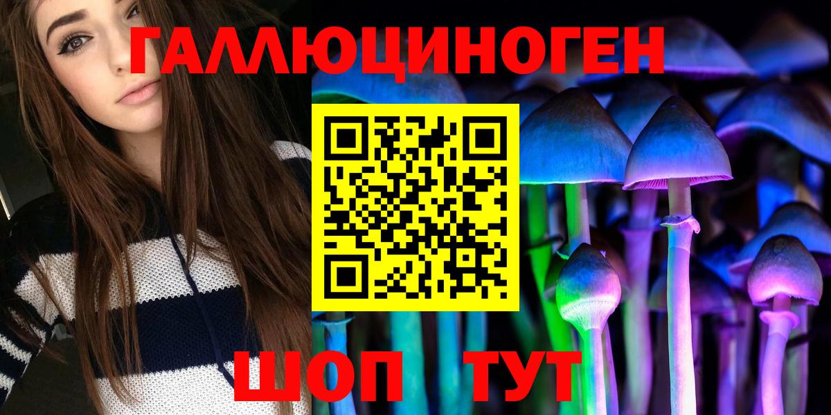 Псилоцибиновые грибы Cubensis Белая Калитва