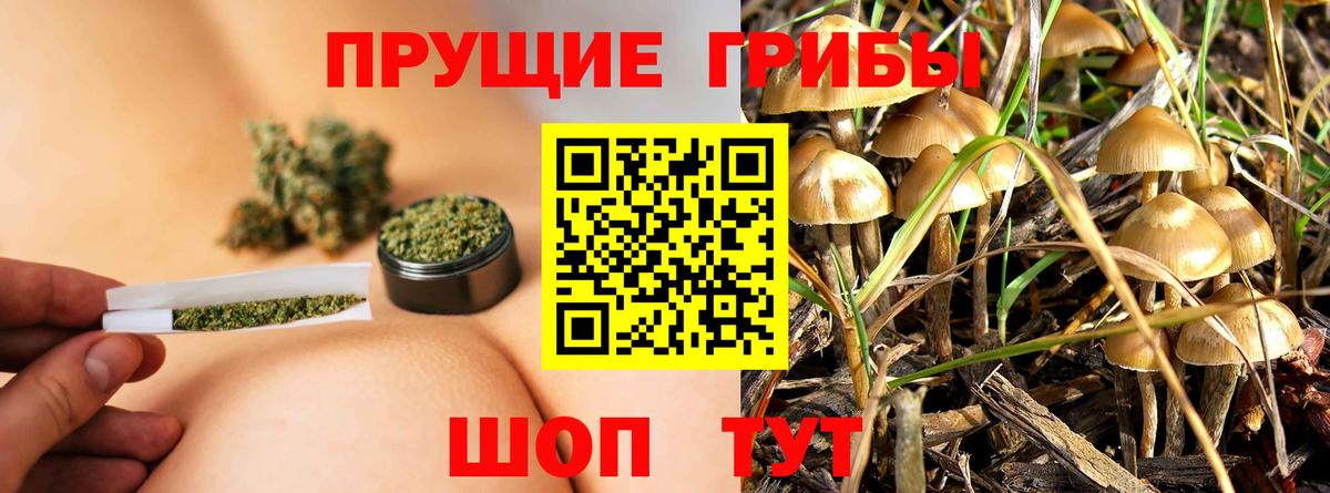 Галлюциногенные грибы MAGIC MUSHROOMS Белая Калитва